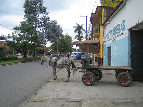 Horse and cart in Colombia