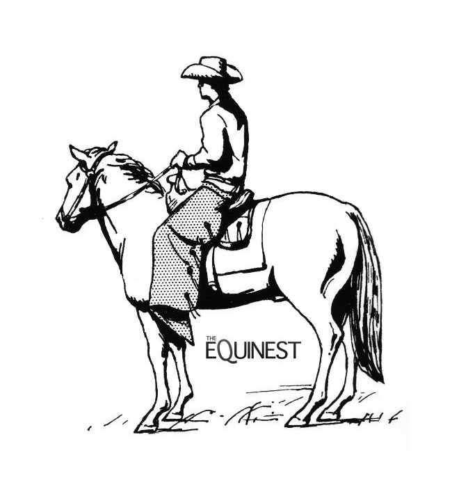 Horse Coloring Page