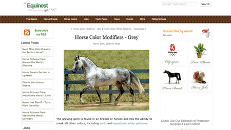Horse Colors Screenshot