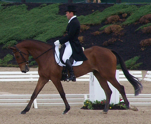 Connaught Connaught