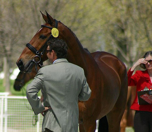Connaught Connaught