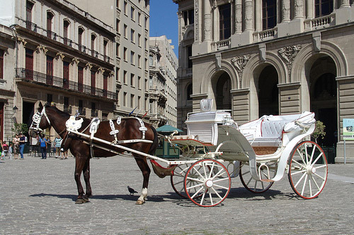 Horse and cart in Cuba Horse and cart in Cuba