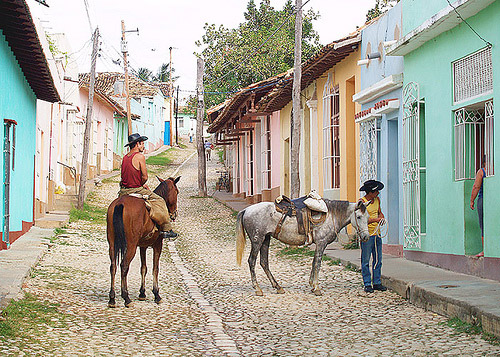 Horses in Cuba