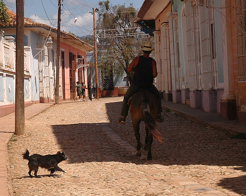 Horse and rider in Cuba