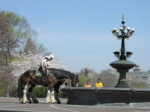 Horses drinking from a fountain in Central Park