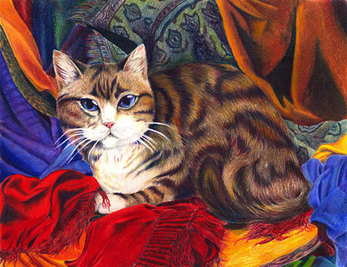 Cat in Fabric