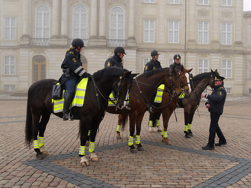Police Horses in Denmark