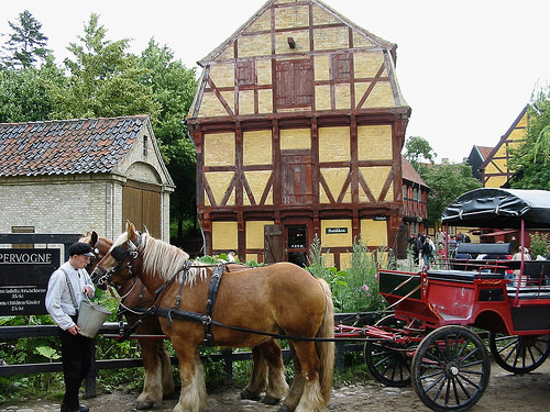Horses and wagon in Denmark