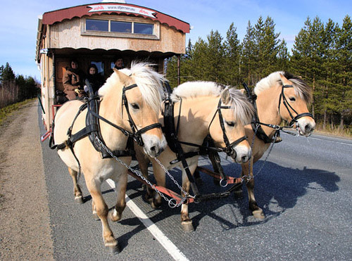 Horses and wagon in Denmark