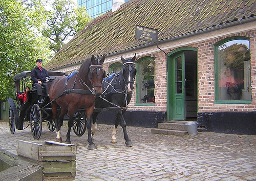 Horses and wagon in Denmark