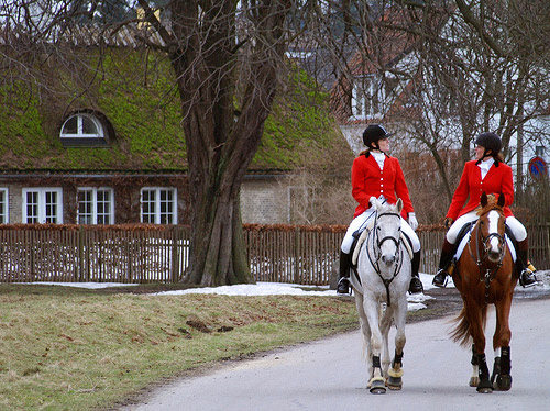 Horses with riders in Denmark