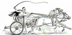Horse Line Drawing