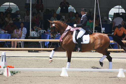 Dressage Dressage