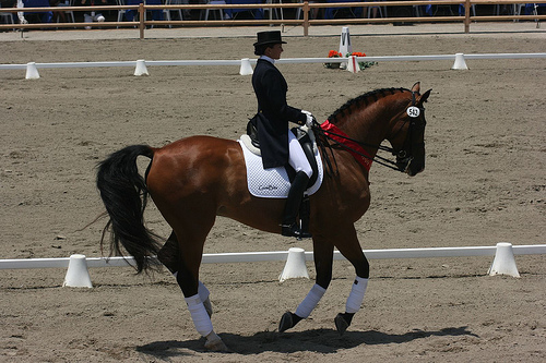 Dressage Dressage