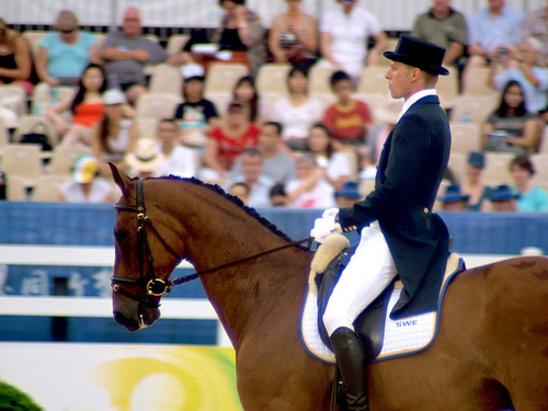 Dressage Dressage