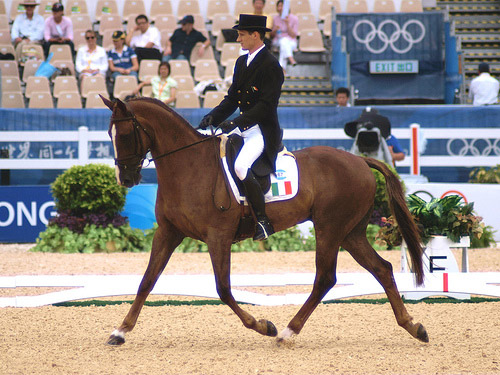 Dressage Dressage
