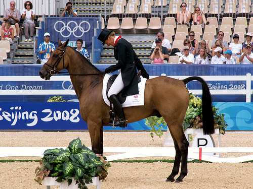 Dressage Dressage