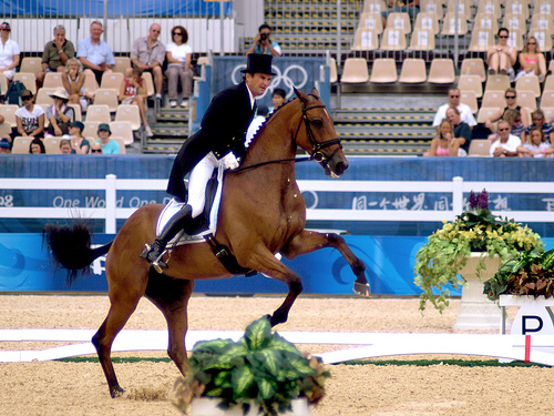 Dressage Dressage