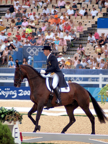 Dressage Dressage