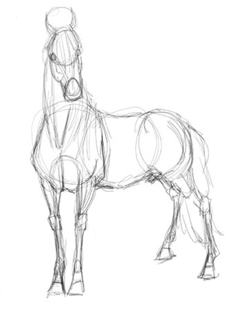 Horse Drawing Tutorial