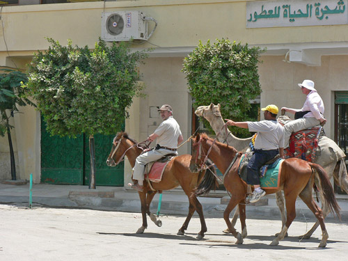 Men riding camels and horses