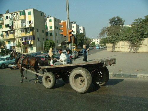 Horse and wagon in the street