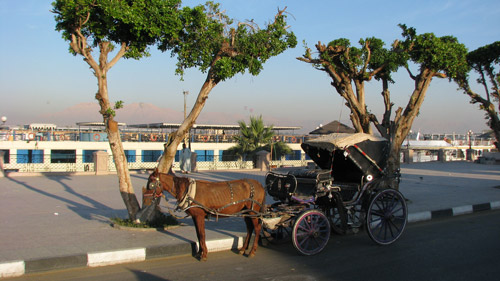 Horse and carriage