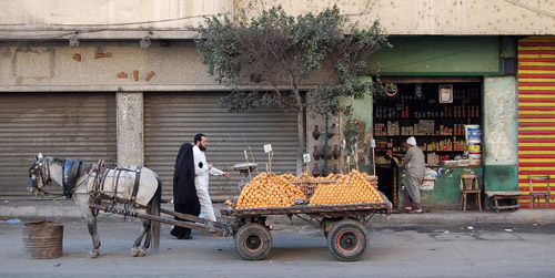 Horse pulling a fruit wagon