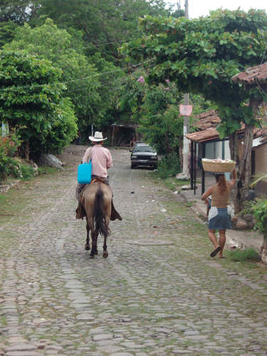 Horses in El Salvador