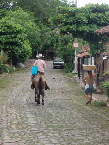 Horses in El Salvador Horses in El Salvador