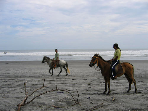 Horses on the beach in El Salvador