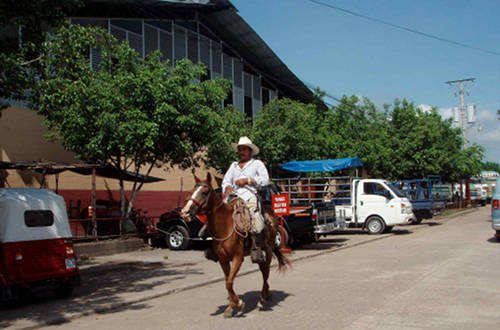 Horses in El Salvador