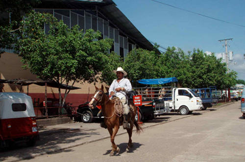 Horses in El Salvador Horses in El Salvador