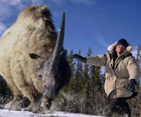 Elasmotherium