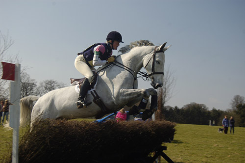Horse jumping a fence Horse jumping a fence