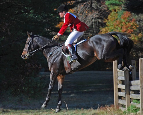 Beautiful Landing width= Horse and rider landing after jumping a fence