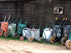 A row of wheelbarrels