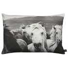 Icelandic Horse Pillows