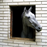 Stables Stables