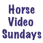 Horse Video Sunday