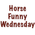 Horse Funnies on Wednesday