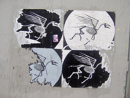 Equine Graffiti