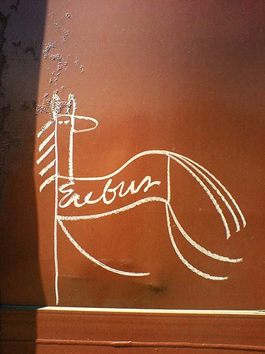 Equine Graffiti