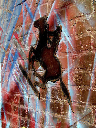 Equine Graffiti