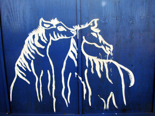 Equine Graffiti