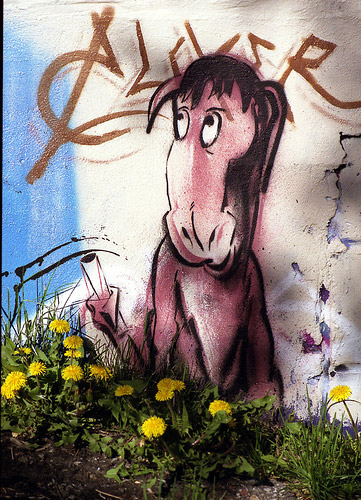 Equine Graffiti