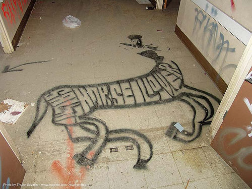 Equine Graffiti