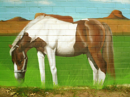 Equine Graffiti