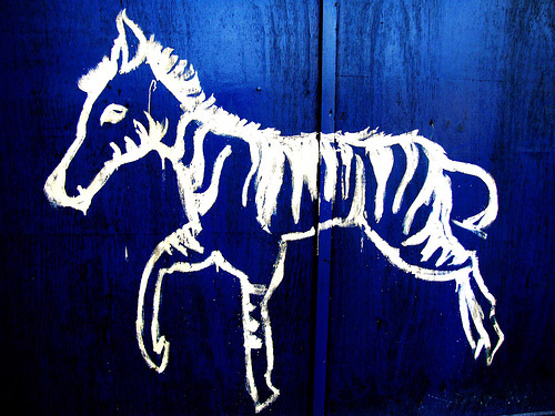 Equine Graffiti