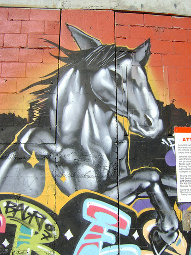 Equine Graffiti Equine Graffiti